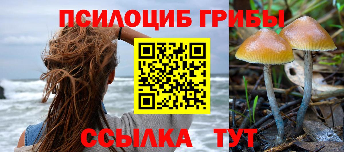 Губаха  Псилоцибиновые грибы Cubensis  Вход с VPN 